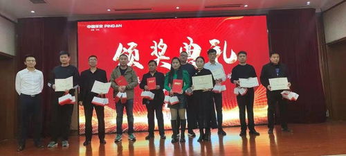 党建引领科技赋能，山东保险中介业以智慧服务护航社会民生